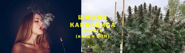 ПСИЛОЦИБИНОВЫЕ ГРИБЫ Нея